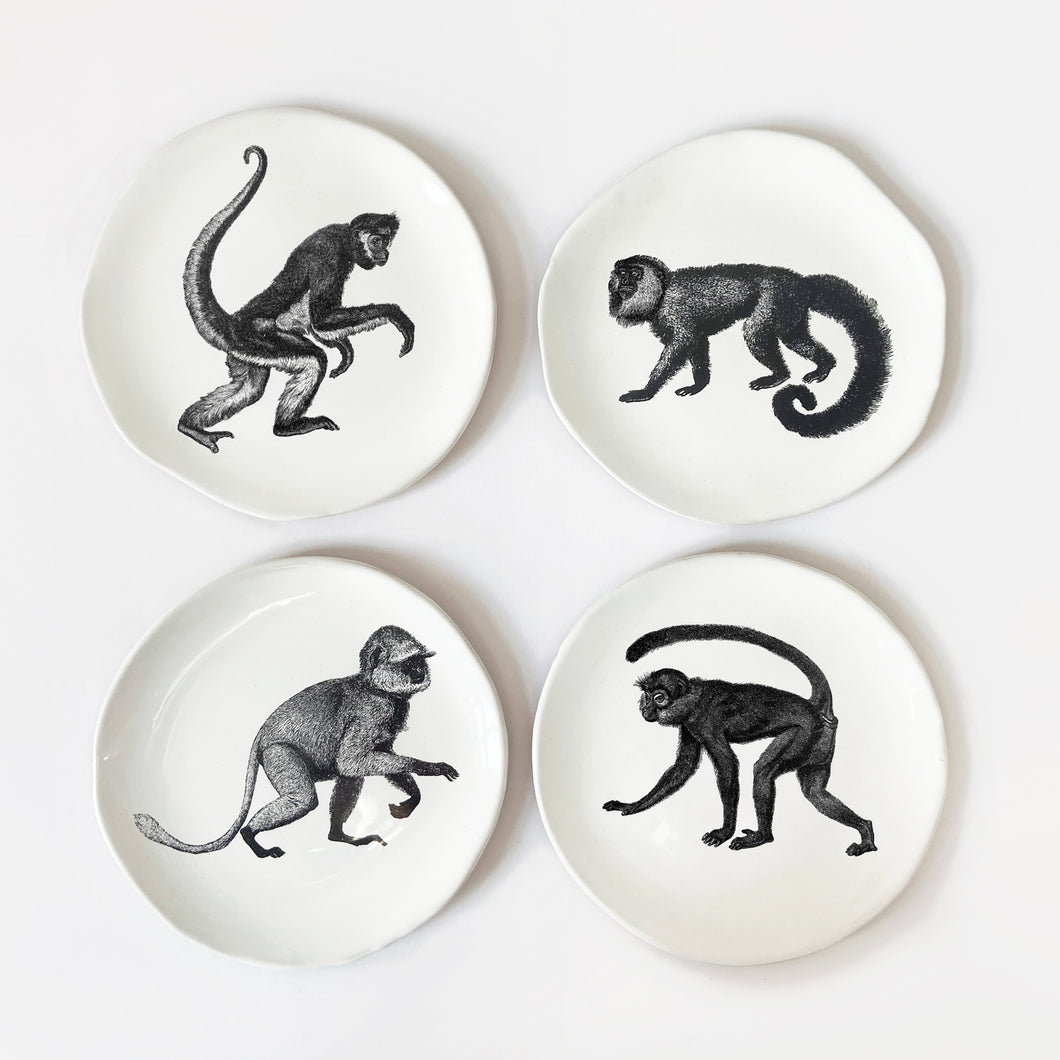 Kühn Keramik x Süper Store: Plate set of 4 'Monkeys'