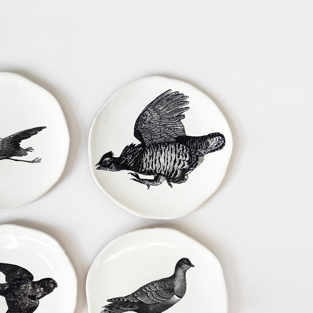 Kühn Keramik x Süper Store: Plate set of 6 'Birds'