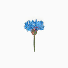 Load image into Gallery viewer, &#39;Blue Cornflower&#39; brooch by Trovelore
