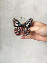 Lade das Bild in den Galerie-Viewer, &#39;Lime Swallowtail Butterfly&#39; Brosche von Trovelore
