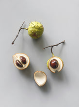 Load image into Gallery viewer, Horse chestnuts by Penkridge Ceramics
