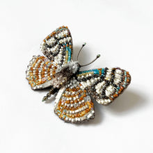 Load image into Gallery viewer, 'Racidula Sailor Butterfly' brooch by Trovelore
