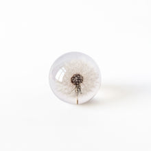Load image into Gallery viewer, &#39;Dandelion Paperweight&#39; by Hafod Grange
