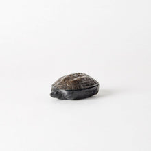 Lade das Bild in den Galerie-Viewer, &#39;Tortoise Box&#39; von Tadahiro Baba
